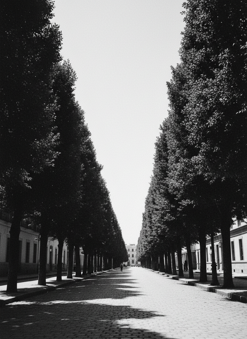 Le ciel était pur mais sans éclat au-dessus des ficus qui bordent la rue.